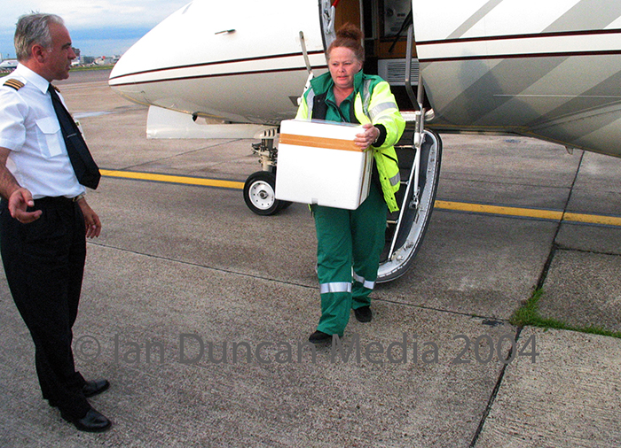 ON THE GROUND... Once landed, Liz McKinley carries the donor organ off the aeroplane...