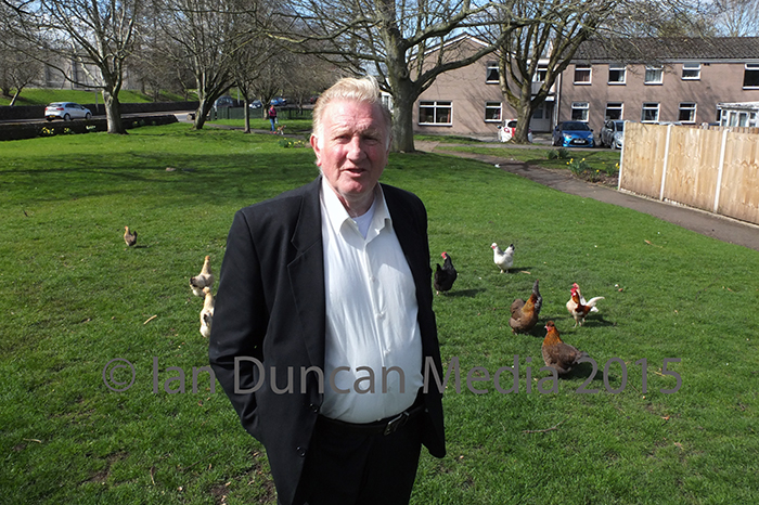PROTAGONIST... Brian Boyes with some of his hens...