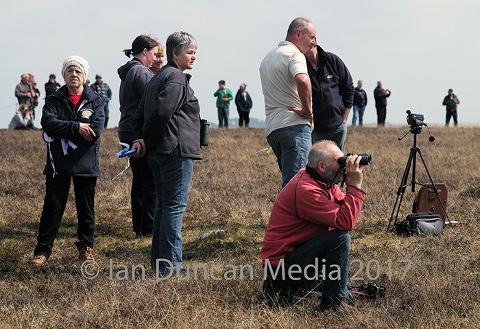 WAITING... Followers on the finish line...