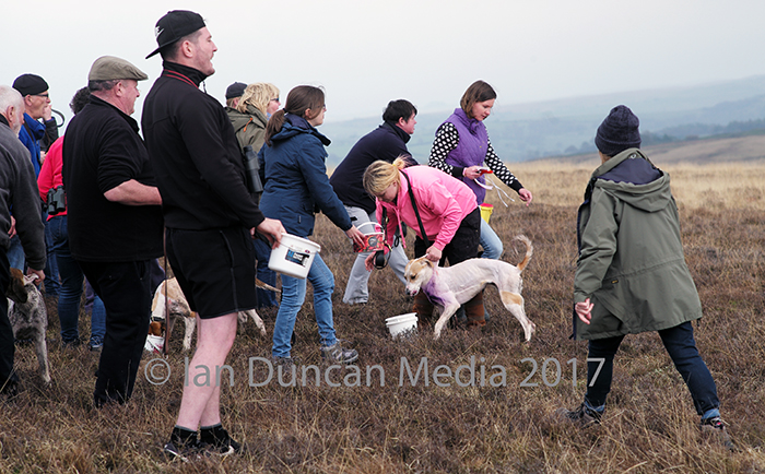 HOUND TRAIL... Owners and hounds at the finish line...