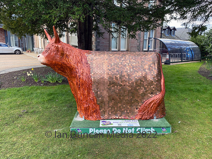 COO #01... "Cash Cow" by artists Will and Ollie Hayden at Highland Hospice in Inverness...