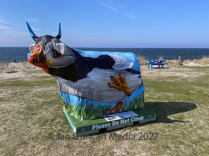 COO #22... "Tammie Norrie" by artist Marc Delaye in Nairn Harbour...