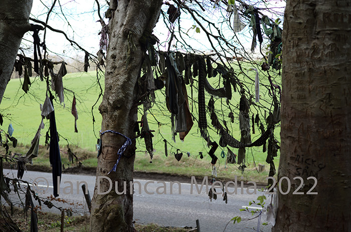 CLOOTS... The Clootie Well at Munlochy on the Black Isle in Ross-shire...