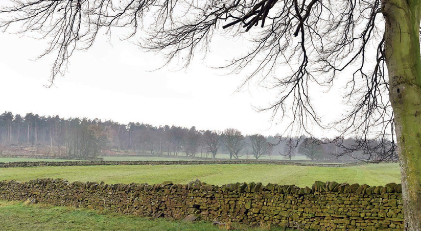 DEVELOPMENT SITE... Land to the north of Penrith’s Beacon which is the focus of the district council masterplan...