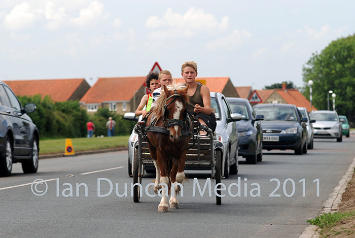 HORSE FAIR... Traditional pony and trap at Seamer Horse Fair. For the record this guy actually drove his horse right at me and I only realised at the last moment and jumped out of the way...