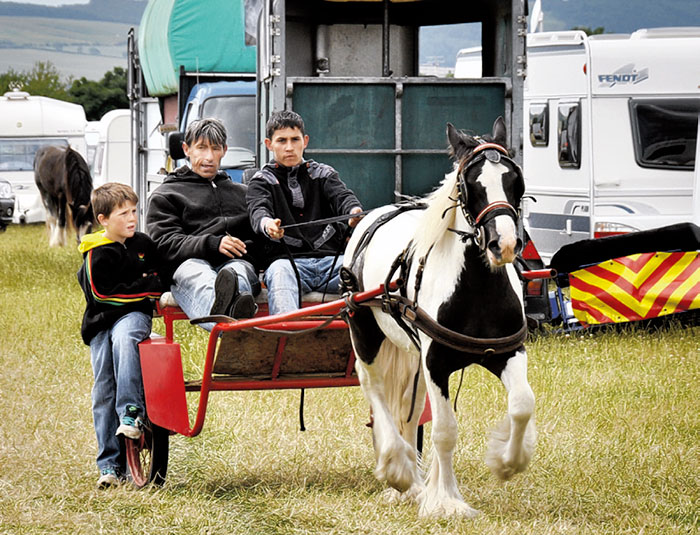 HORSES ... The official site proves popular with travellers at this year’s horse fair...