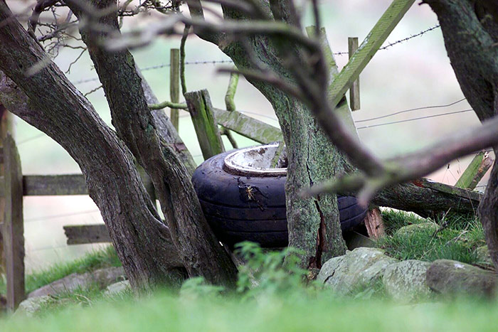 WRECKAGE... Part of the plane's wreckage rests in trees...