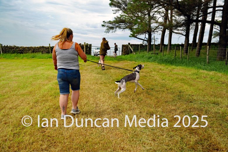 The International Hound Races at Tallentire Hill, near Cockermouth in Cumbria. Start of the open restricted race. Source: Ian Duncan.