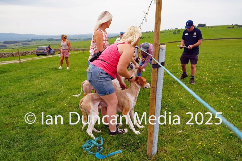 The International Hound Races at Tallentire Hill, near Cockermouth in Cumbria. The start of the seniors race with Sophie Steele in pink top), from Eskdale, with the eventual winner Kinniside Bobby. Source: Ian Duncan.