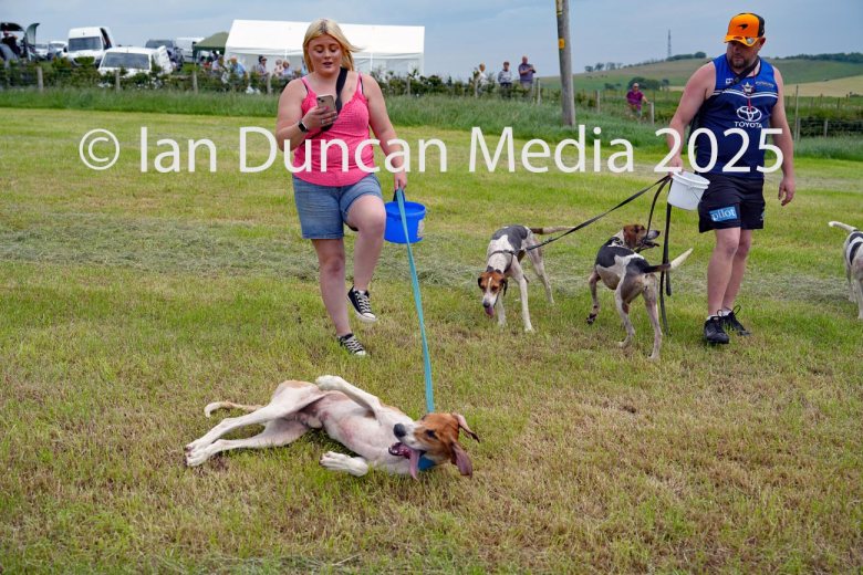 The International Hound Races at Tallentire Hill, near Cockermouth in Cumbria. The finish of the seniors race with Sophie Steele in pink top), from Eskdale, with the winner Kinniside Bobby. Source: Ian Duncan.