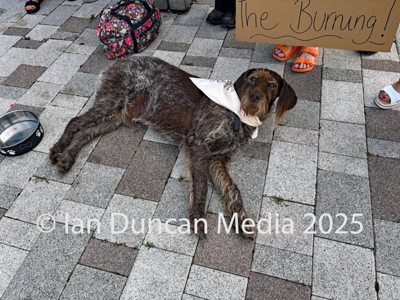 Protesters opposed to a proposed gasification plant in Rockcliffe, to the north of Carlisle, outside Carlisle Civic Centre ahead of the special planning committee meeting on Friday, June 20, 2025. Source: Ian Duncan.
