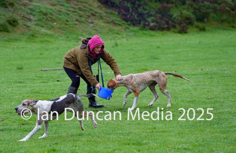 Hound with owner at the finish line during the Annual Festival of Hound Racing event near Kirkland in Cumbria.