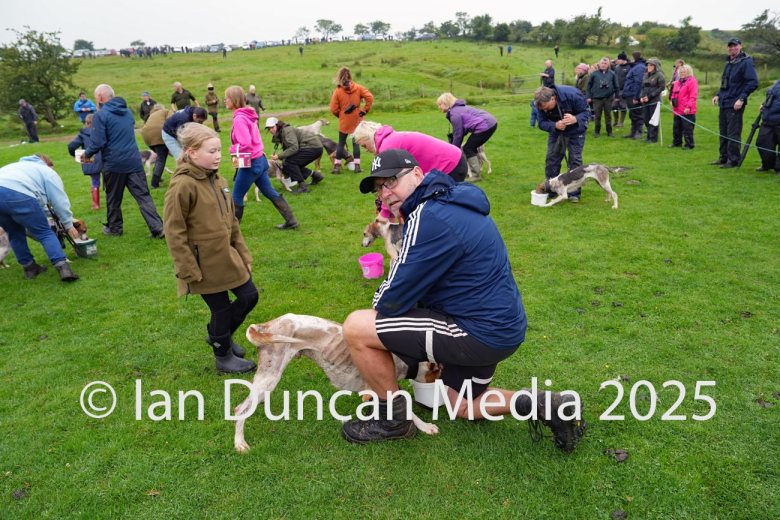 Hound with owner at the finish line during the Annual Festival of Hound Racing event near Kirkland in Cumbria.