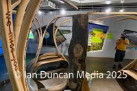 SYCAMORE GAP COMING HOME... Art installation at The Sill in Northumberland which features part of the felled trunk which is displayed near to where it originally stood...