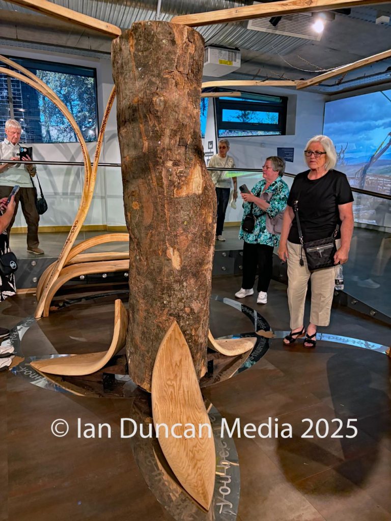 SYCAMORE GAP COMING HOME... Art installation at The Sill in Northumberland which features part of the felled trunk which is displayed near to where it originally stood...